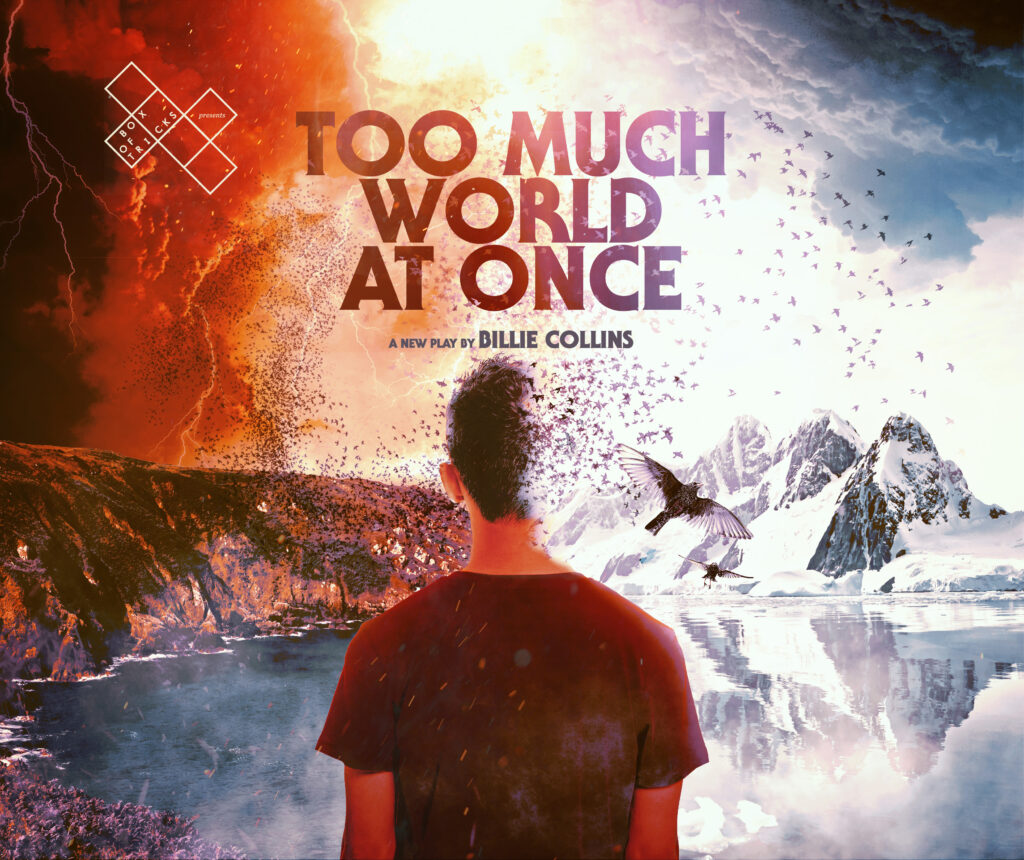 An image of the back of a boy in a red t-shirt, who is looking out onto a landscape of rivers and snowy mountains. The left side of the landscape is dark and stormy. The right side is bright with birds flying across a white sky. In the centre is the text ‘Too Much World at Once. A new play by Billie Collins’.